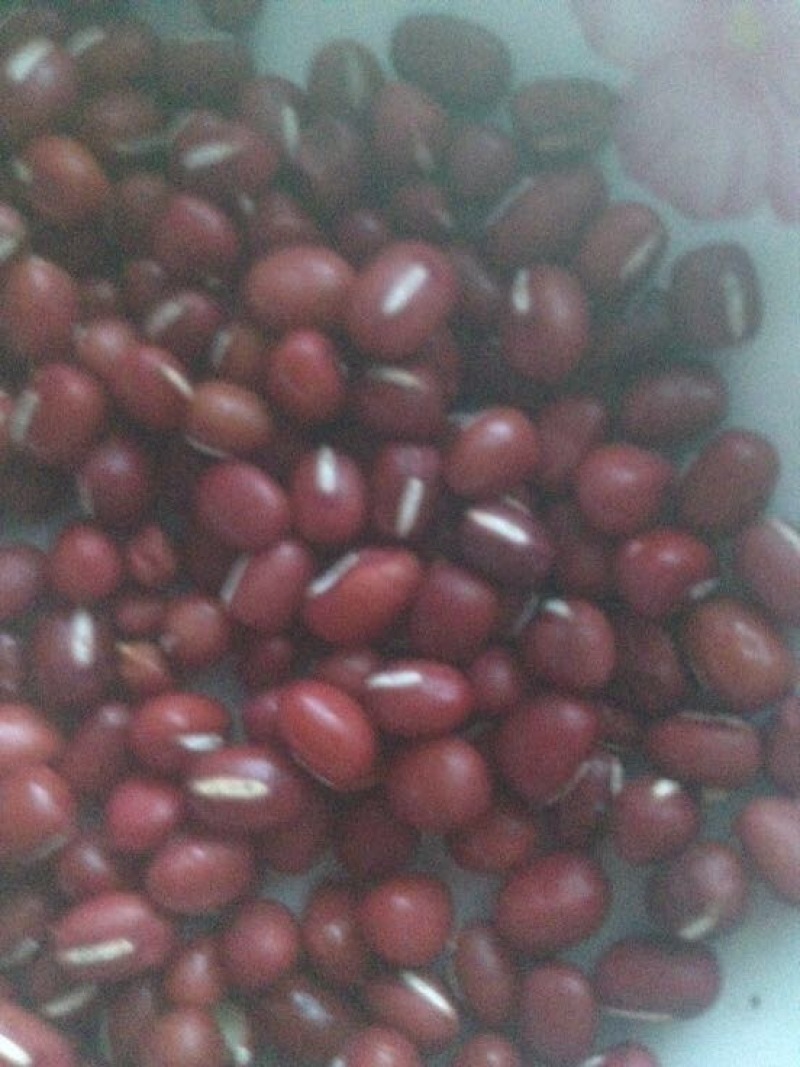 红小豆
