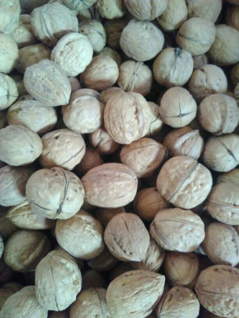 薄皮核桃30mm以上去皮干