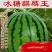 白茄子种子