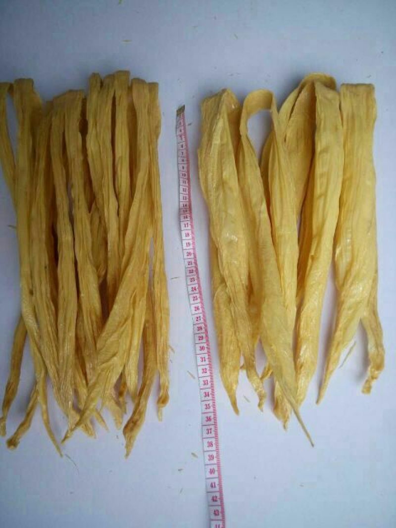 腐竹