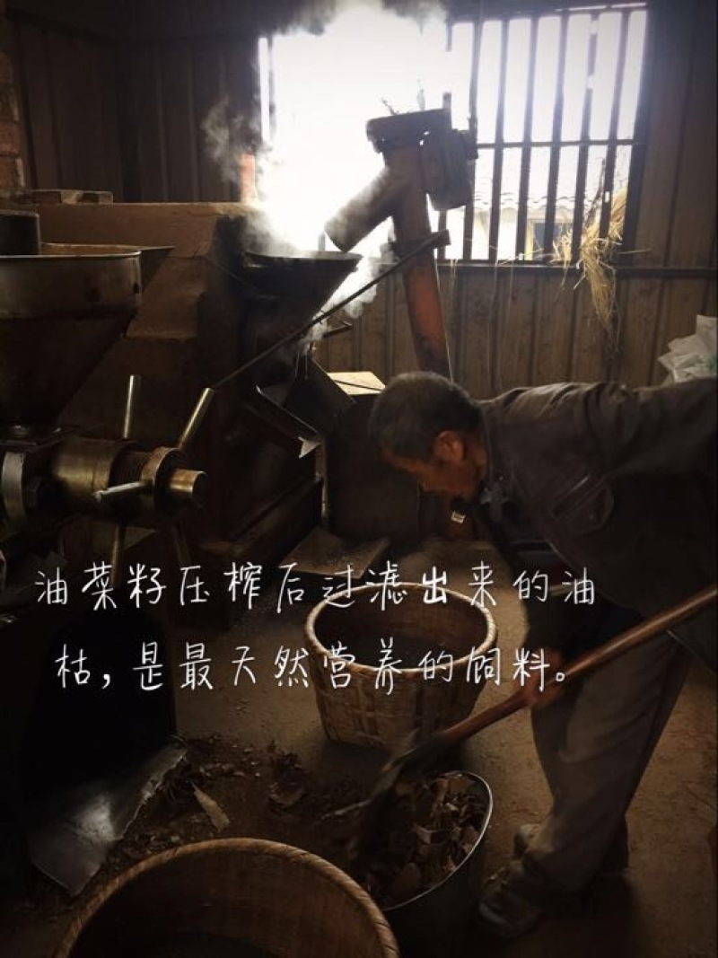 菜油