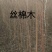丝棉木2~4米
