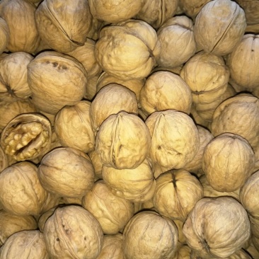 新疆185核桃去皮干