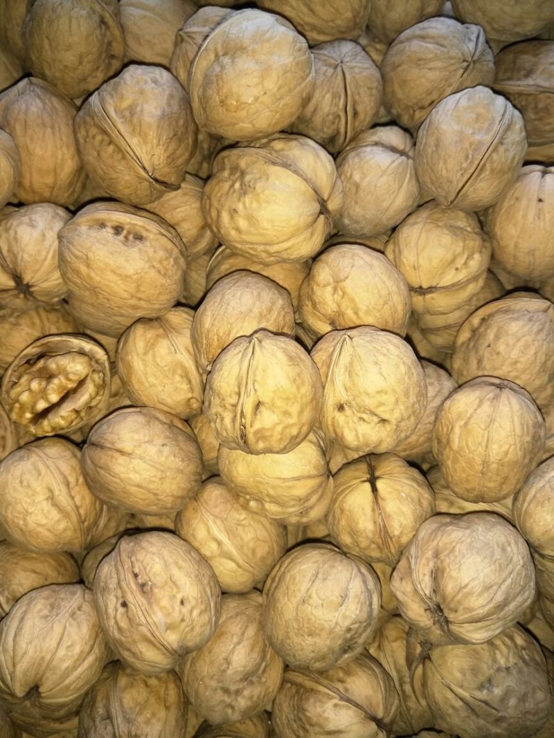 新疆185核桃去皮干