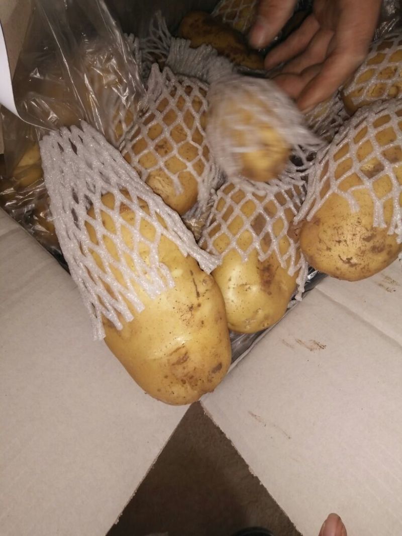 荷兰十五土豆希森土豆坤元6山东黄皮黄心土豆内蒙土豆产地