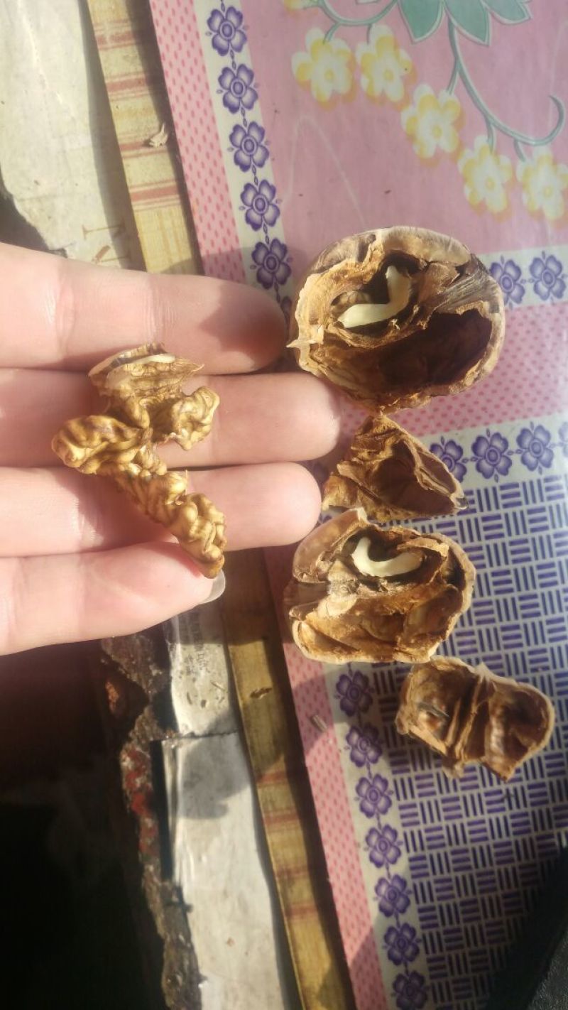 薄皮核桃40mm以上去皮干
