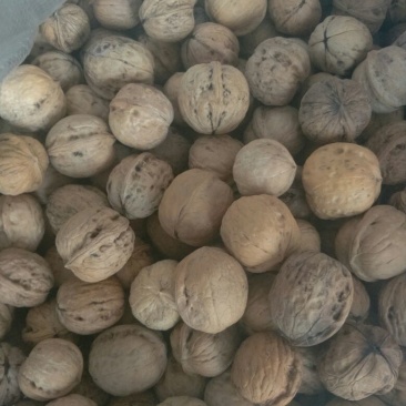 薄皮核桃30mm以上去皮