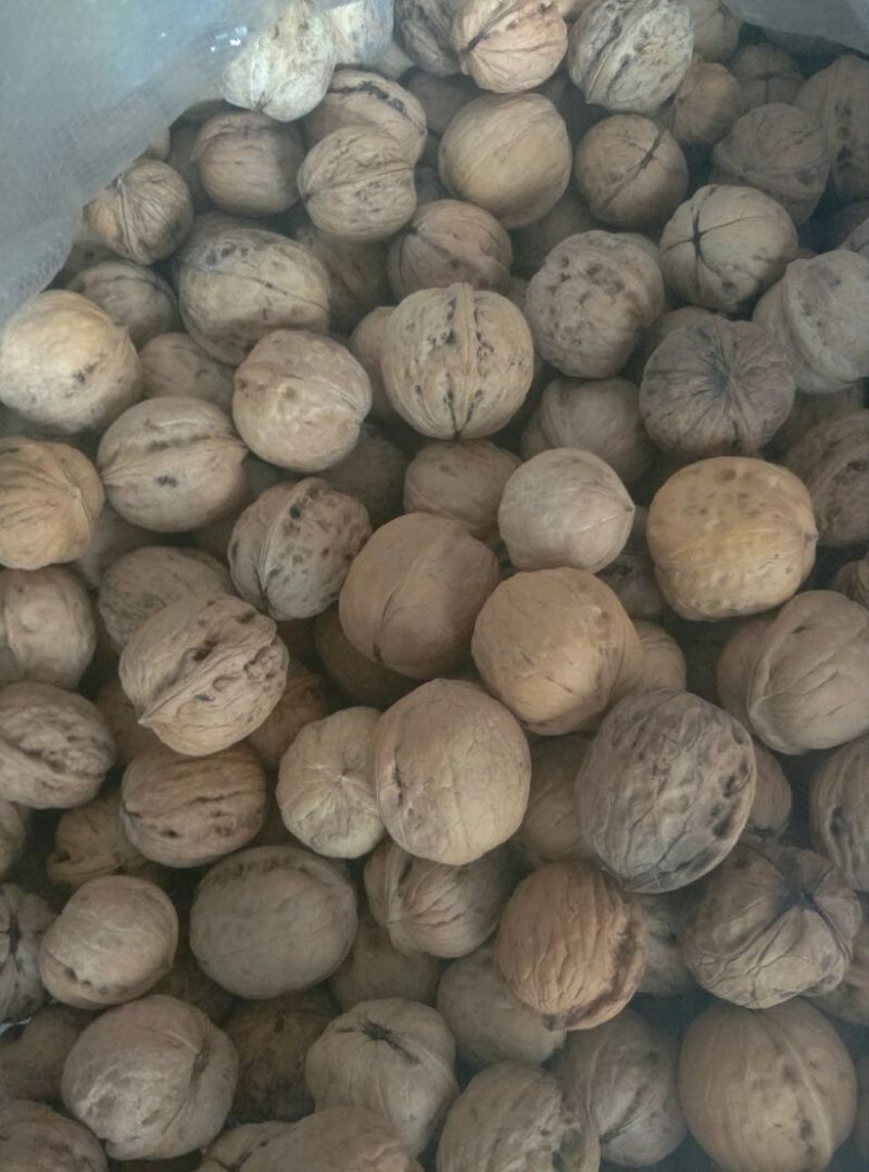 薄皮核桃30mm以上去皮