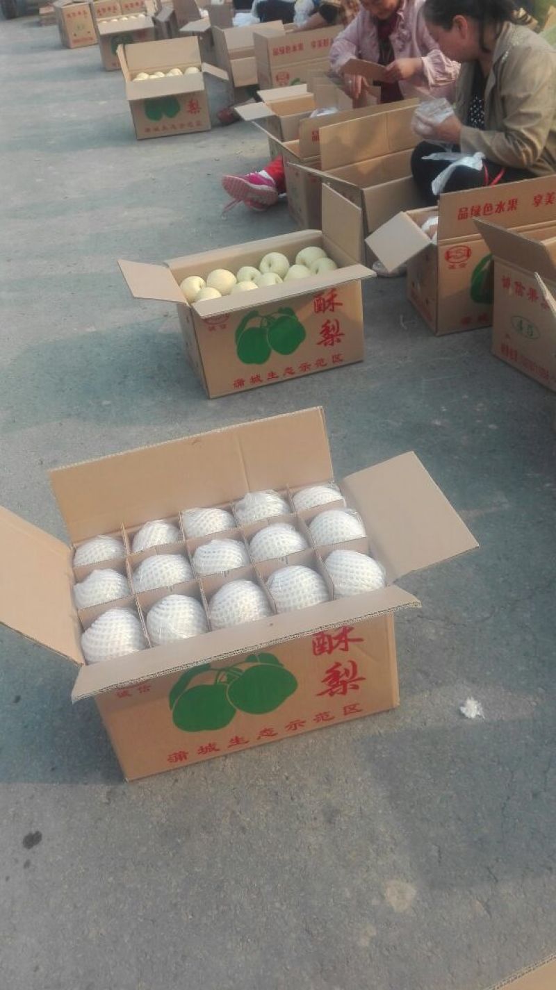 酥梨200~250g纸箱