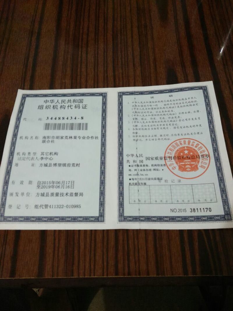 黄金梨200~250g纸袋