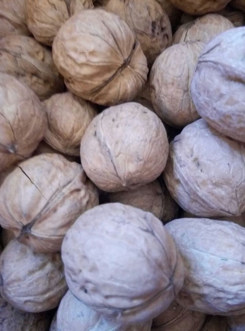 薄皮核桃30mm以上去皮干