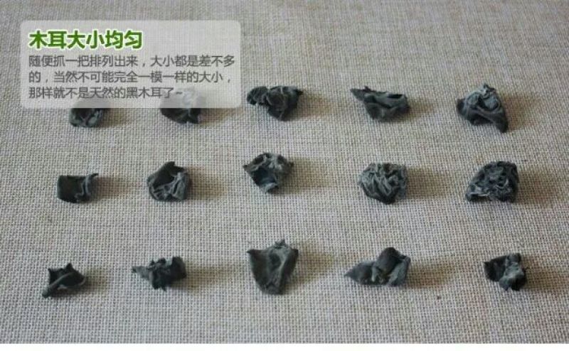 黑木耳二级