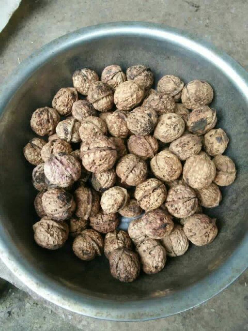 云南薄皮大泡核桃个大皮薄饱满香脆产地直销