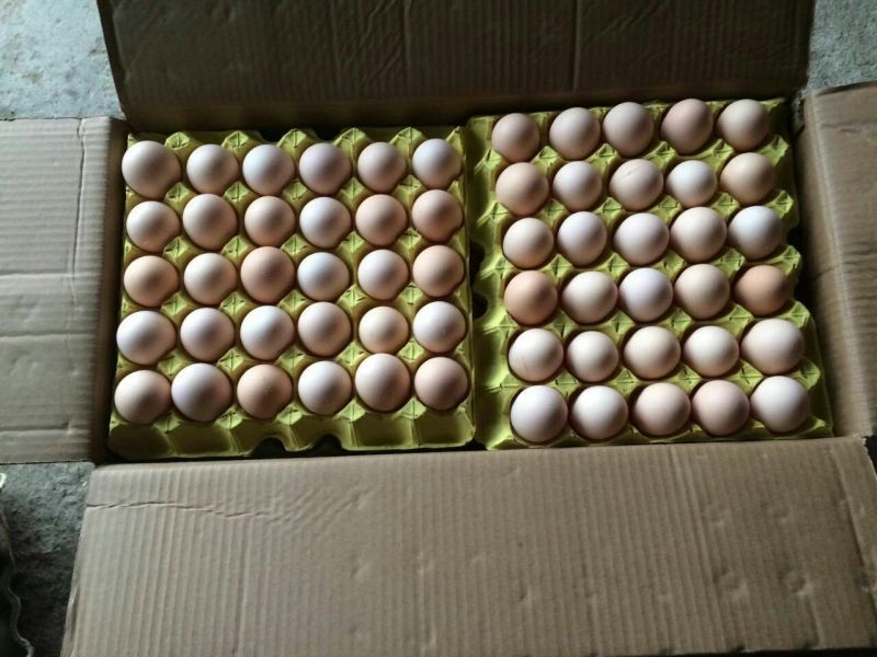 粉蛋食用50g以下