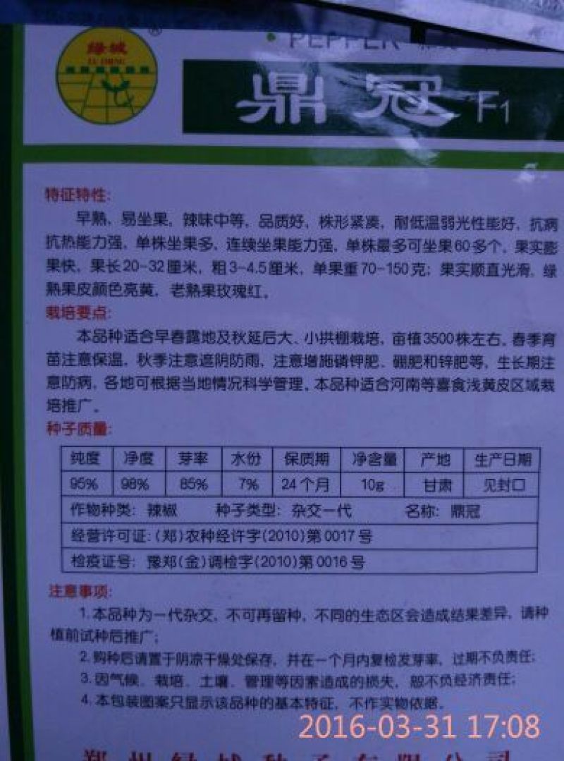 辣椒苗