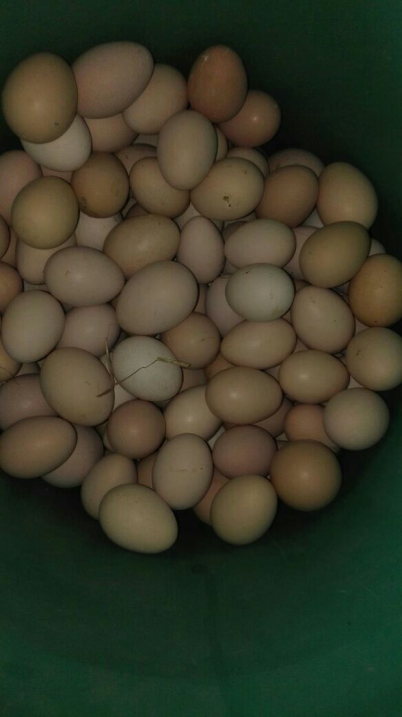 土鸡蛋食用50g以下