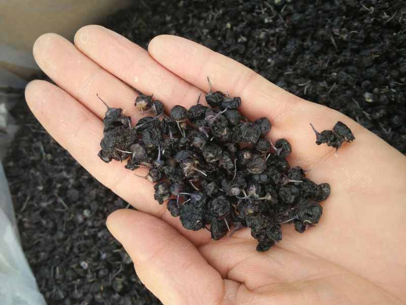柴达木黑枸杞干货大量供应货源充足保质保量量大价优