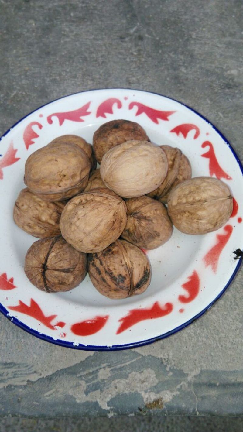 山核桃去皮干