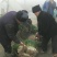 分葱大葱净葱产地直供，可加工出口，走市场批发零售