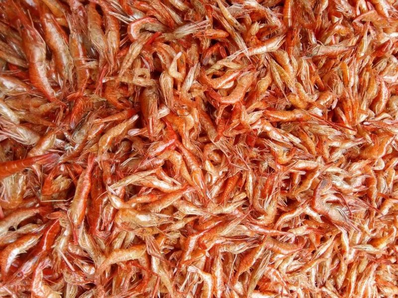 干虾