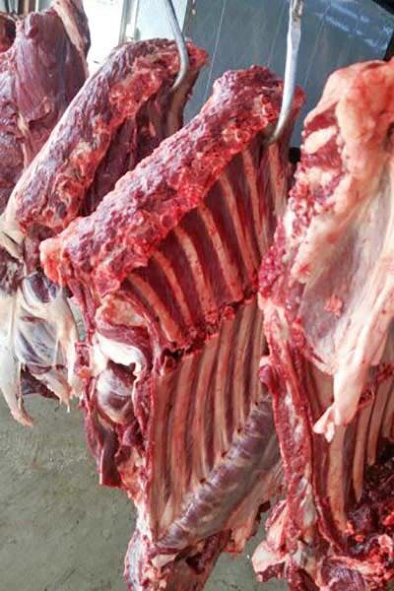 驴肉