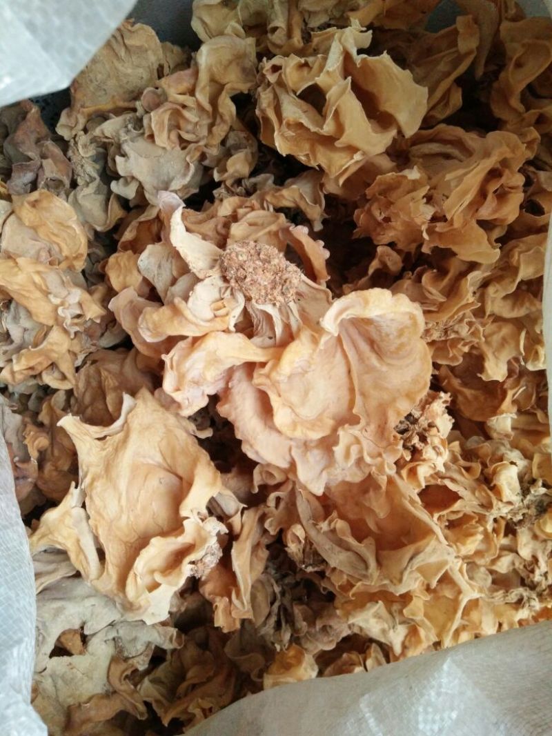 干木耳二级