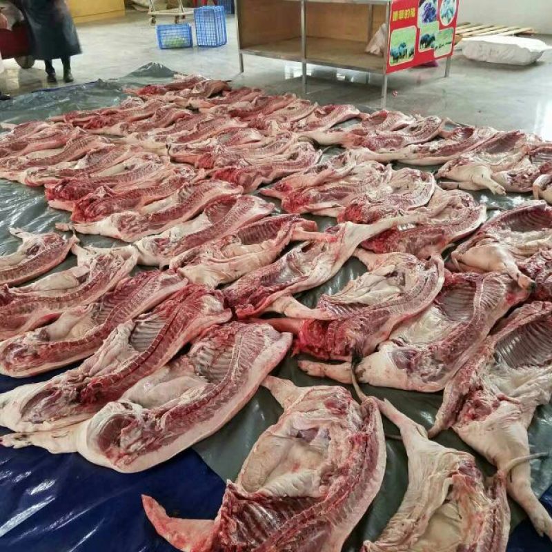 黑猪肉加工整猪加工