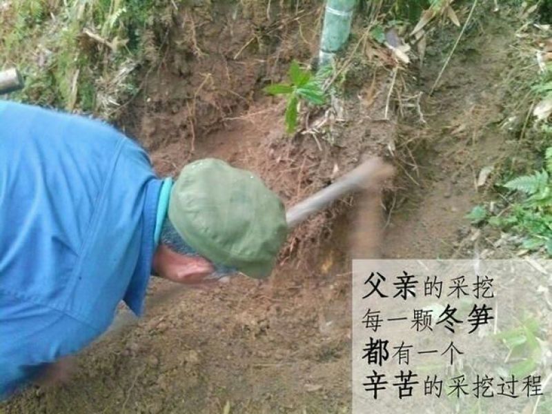 冬笋3两起步