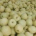 砀山梨350~400g光果