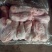冻牛肉冷冻，后腿肉，前腿肉，脖骨，脊骨
