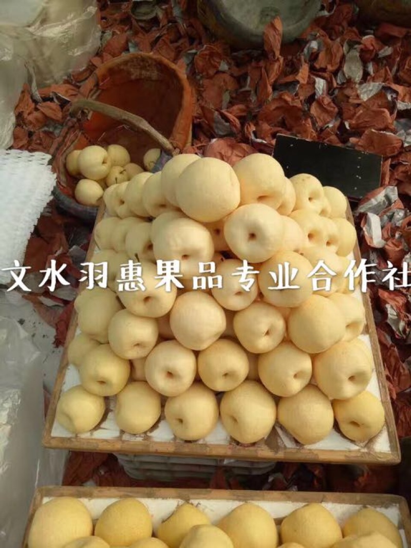 贡梨纸箱300~350g