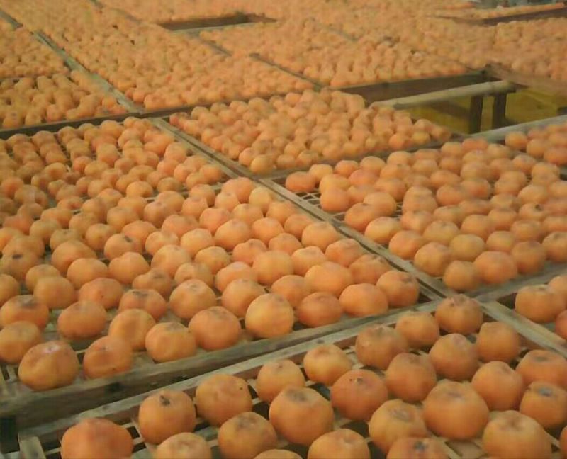 柿饼1~2两