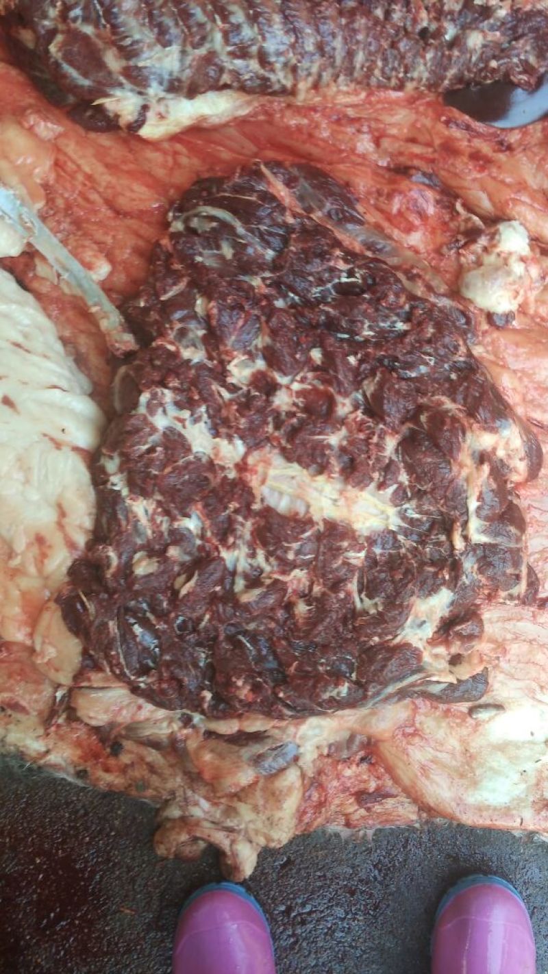 驴肉鲜货