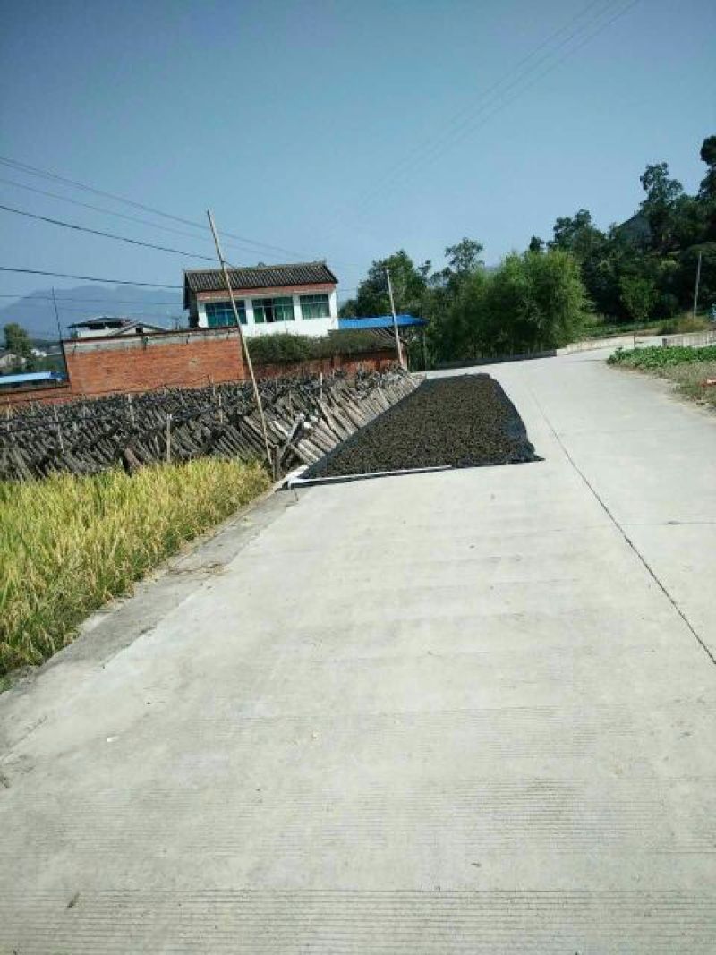 干木耳特级