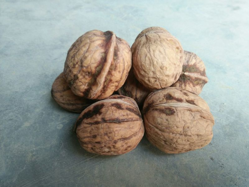 薄皮核桃30mm以上去皮干