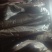 牛蒡选货