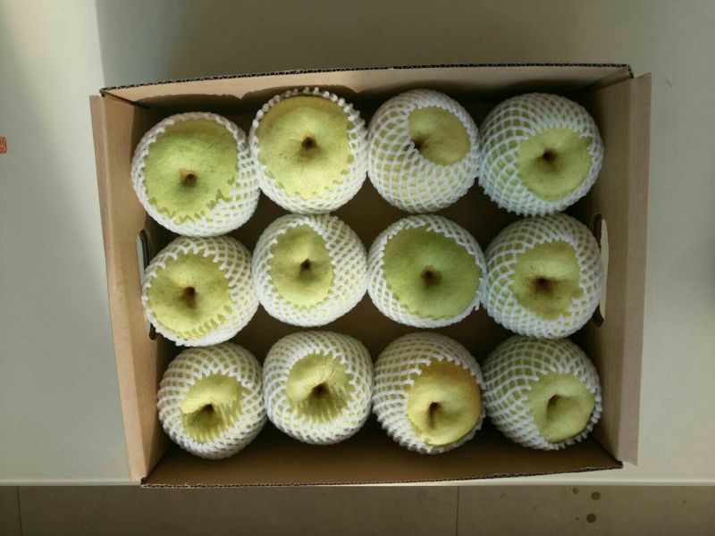 酥梨350~400g纸加膜