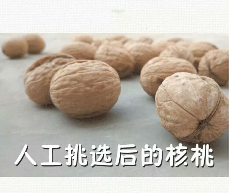 香玲核桃去皮干