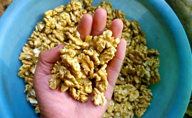 鲜核桃仁原味