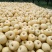砀山梨300~350g光果