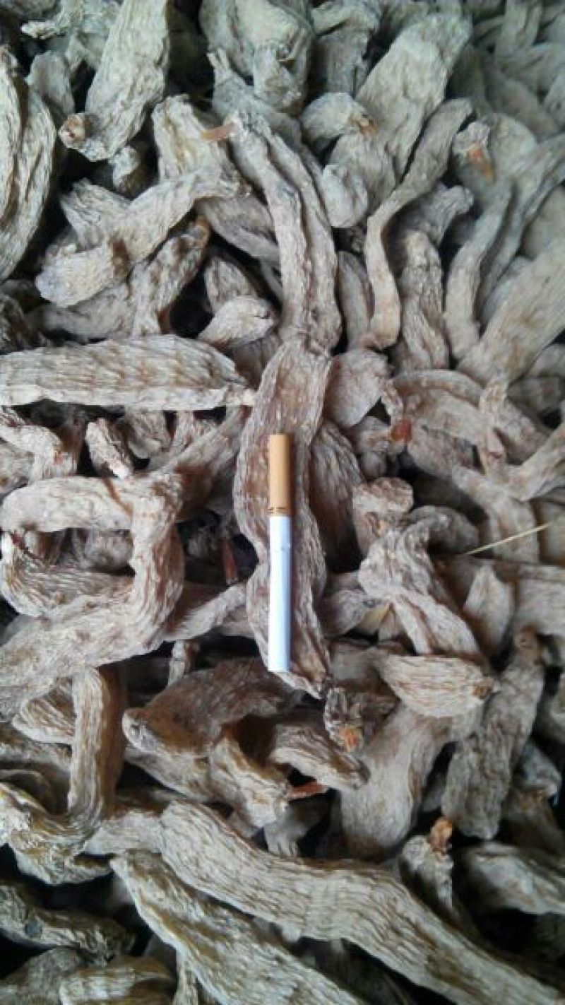 天麻23支内每斤
