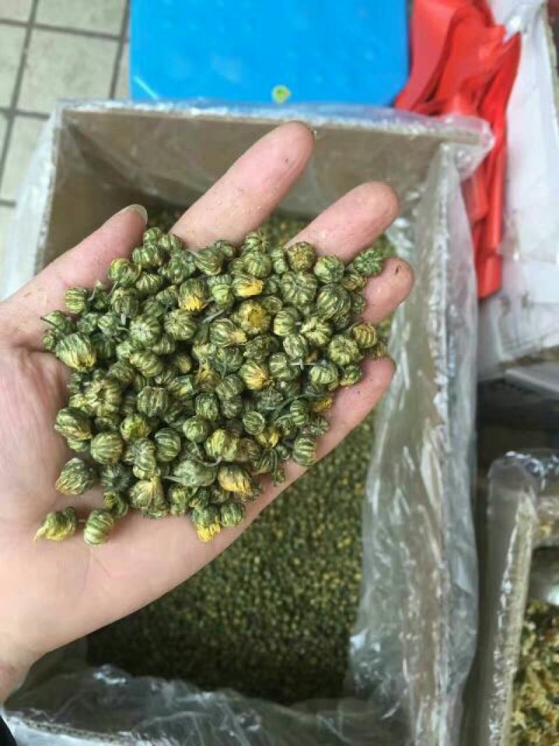 野菊花颗粒
