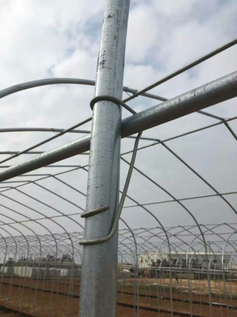 大棚配件压顶簧规格齐全电泳工艺安装便捷