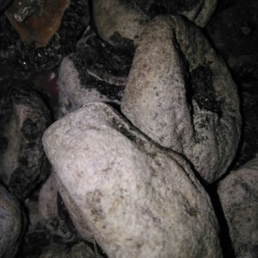 柿饼1~2两