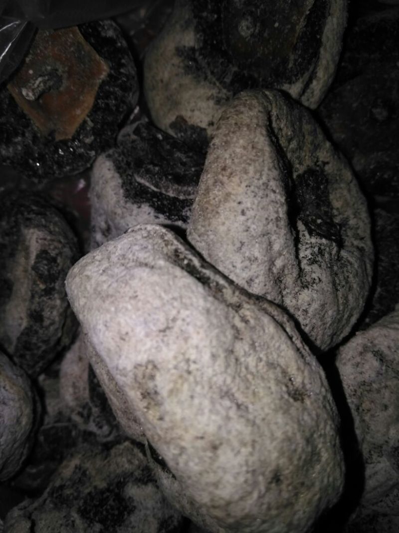 柿饼1~2两