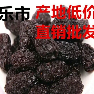 黑枣山西二级黑枣乌枣