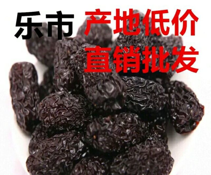 黑枣山西二级黑枣乌枣