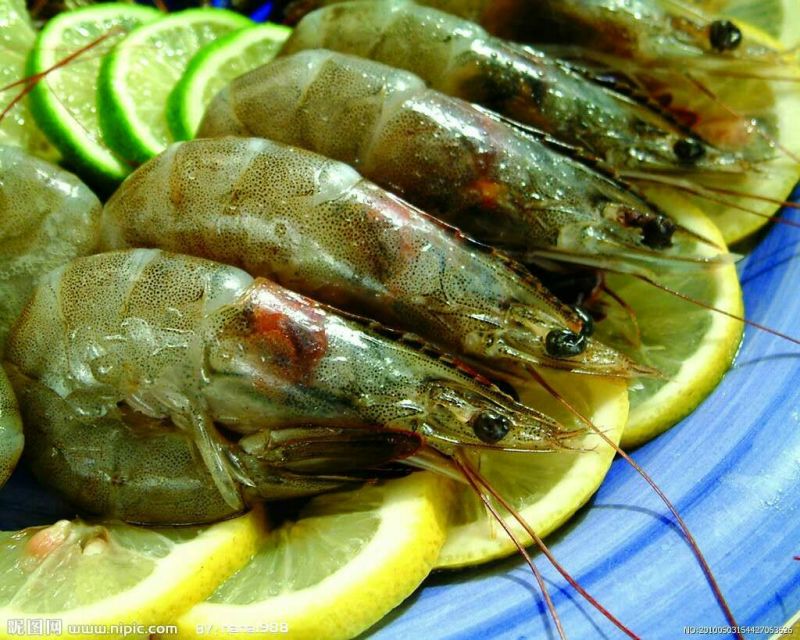 青虾食用16~20只/kg
