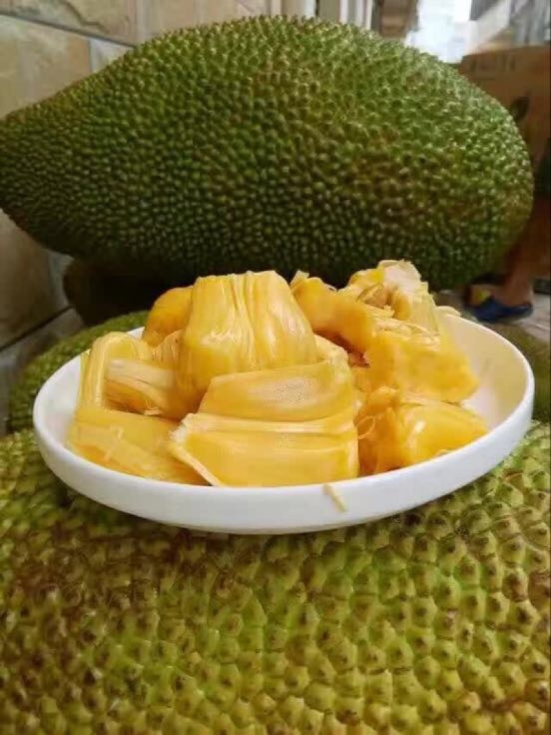 菠萝蜜