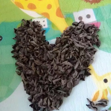 黑木耳